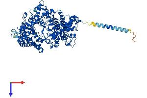 AlphaFold protein structure predicition of Human Recombinant PHEX Protein, UniprotID P78562