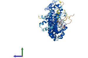 AlphaFold protein structure predicition of Human Recombinant ASB15 Protein, UniprotID Q8WXK1