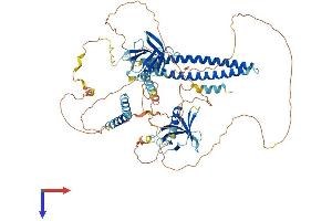 AlphaFold protein structure predicition of Human Recombinant AFAP1 Protein, UniprotID Q8N556