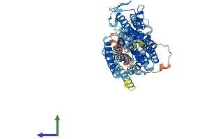AlphaFold protein structure predicition of Mouse Recombinant Slc5a7 Protein, UniprotID Q8BGY9
