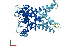 AlphaFold protein structure predicition of Human Recombinant SLC25A35 Protein, UniprotID Q3KQZ1