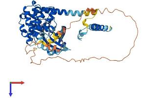 AlphaFold protein structure predicition of Human Recombinant STK3 Protein, UniprotID Q13188