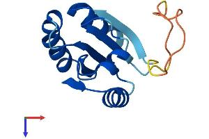 AlphaFold protein structure predicition of Human Recombinant TXNDC8 Protein, UniprotID Q6A555