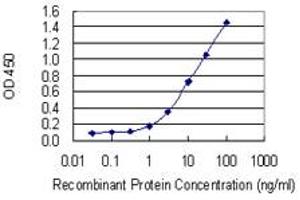 Detection limit for recombinant GST tagged CCRN4L is 0.