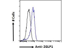 ABIN570846 Flow cytometric analysis of paraformaldehyde fixed K562 cells (blue line), permeabilized with 0. (ZGLP1 anticorps  (Internal Region))