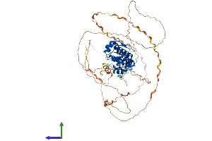 AlphaFold protein structure predicition of Mouse Recombinant Ogfr Protein, UniprotID Q99PG2