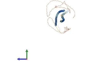 AlphaFold protein structure predicition of Mouse Recombinant Krt76 Protein, UniprotID Q3UV17