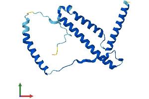 AlphaFold protein structure predicition of Human Recombinant NDUFB10 Protein, UniprotID O96000