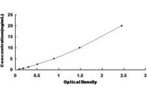 Typical standard curve (Calpain 3 Kit ELISA)
