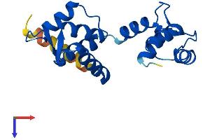 AlphaFold protein structure predicition of Human Recombinant CETN3 Protein, UniprotID O15182