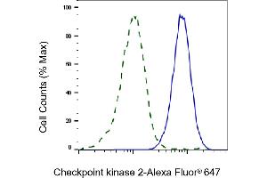 Flow cytometric analysis of Checkpoint kinase 2 expression in HAP-1 cells using Checkpoint kinase 2 antibody (ABIN7798040), 1:2,000). (Recombinant CHEK2 anticorps)
