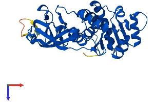 AlphaFold protein structure predicition of Human Recombinant EPM2A Protein, UniprotID O95278