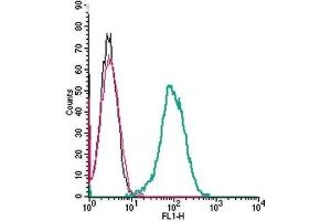 Cell surface detection of β2-Adrenergic Receptor by indirect flow cytometry in live intact mouse J774 macrophage cells: (black line) Cells.