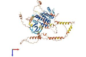 AlphaFold protein structure predicition of Human Recombinant MAPK6 Protein, UniprotID Q16659