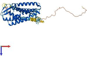 AlphaFold protein structure predicition of Mouse Recombinant Agtr1a Protein, UniprotID P29754