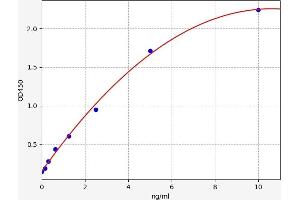 Typical standard curve (TFCP2 Kit ELISA)