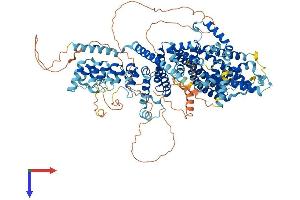 AlphaFold protein structure predicition of Human Recombinant TRPC5 Protein, UniprotID Q9UL62