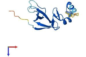 AlphaFold protein structure predicition of Human Recombinant CDPF1 Protein, UniprotID Q6NVV7