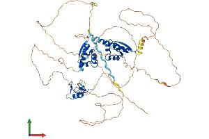 AlphaFold protein structure predicition of Human Recombinant MEX3C Protein, UniprotID Q5U5Q3