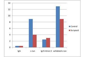 ChIP analysis of Human endothelial cells (EA.