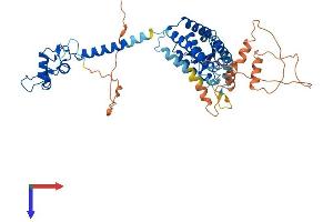 AlphaFold protein structure predicition of Human Recombinant THRA Protein, UniprotID P10827