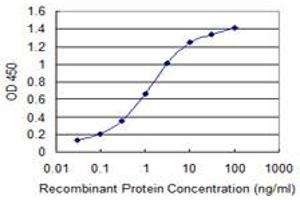 anti-RNA Binding Motif Protein 12 (RBM12) (AA 834-932) antibody