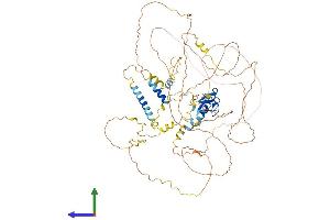 AlphaFold protein structure predicition of Mouse Recombinant Lima1 Protein, UniprotID Q9ERG0