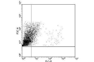 THP1 cells were incubated with IgG2a isptype controle (A) or α-TLR9 5G5 mAb (B).