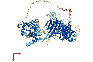 AlphaFold protein structure predicition of Mouse Recombinant LRWD1 Protein, UniprotID Q8BUI3