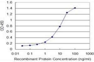 Detection limit for recombinant GST tagged XBP1 is approximately 0. (XBP1 anticorps  (AA 123-225))