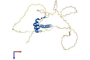 AlphaFold protein structure predicition of Human Recombinant HOXB13 Protein, UniprotID Q92826