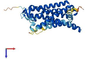 AlphaFold protein structure predicition of Human Recombinant OR10H1 Protein, UniprotID Q9Y4A9