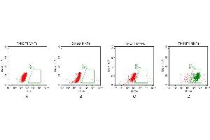 Transmembrane 4 L Six Family Member 1 (TM4SF1) protein