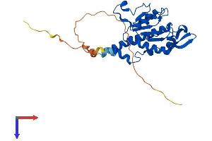 AlphaFold protein structure predicition of Mouse Recombinant Mrps2 Protein, UniprotID Q924T2