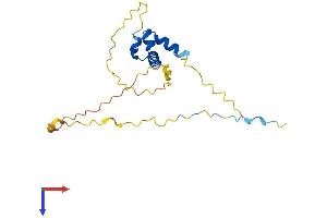 AlphaFold protein structure predicition of Human Recombinant SSX3 Protein, UniprotID Q99909