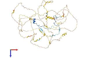 AlphaFold protein structure predicition of Human Recombinant CASC3 Protein, UniprotID O15234