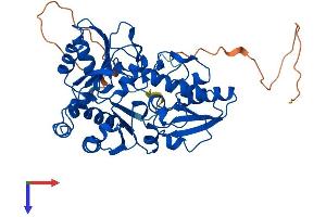 AlphaFold protein structure predicition of Mouse Recombinant Dph1 Protein, UniprotID Q5NCQ5