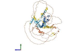 AlphaFold protein structure predicition of Mouse Recombinant Nfe2l1 Protein, UniprotID Q61985