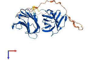 AlphaFold protein structure predicition of Human Recombinant LGALS9C Protein, UniprotID Q6DKI2