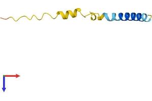AlphaFold protein structure predicition of Mouse Recombinant Lenep Protein, UniprotID Q9WVB6