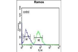 C10orf27 Antibody (C-term) (ABIN652633 and ABIN2842423) flow cytometric analysis of Ramos cells (right histogram) compared to a negative control cell (left histogram).