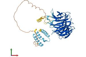 AlphaFold protein structure predicition of Human Recombinant WDR13 Protein, UniprotID Q9H1Z4