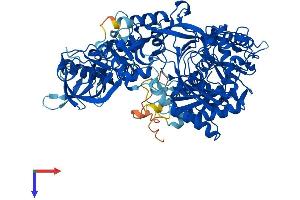 AlphaFold protein structure predicition of Mouse Recombinant Ago4 Protein, UniprotID Q8CJF8