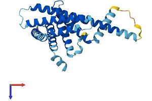 AlphaFold protein structure predicition of Mouse Recombinant Pex11a Protein, UniprotID Q9Z211