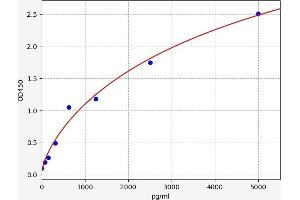 Typical standard curve (ENOS Kit ELISA)