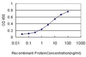 Detection limit for recombinant GST tagged WNK2 is approximately 0. (WNK2 anticorps  (AA 2118-2217))