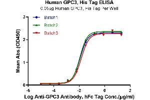Immobilized Human GPC3, His Tag at 0.
