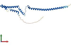 AlphaFold protein structure predicition of Mouse Recombinant Pmf1 Protein, UniprotID Q9CPV5