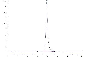 The purity of Mouse LIF is greater than 95 % as determined by SEC-HPLC.