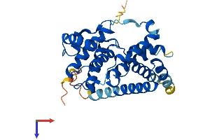 AlphaFold protein structure predicition of Human Recombinant CCND2 Protein, UniprotID P30279
